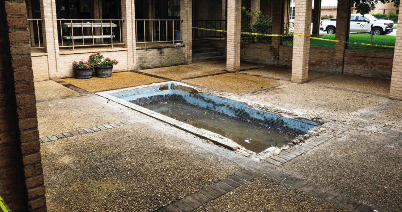 Fish Pond at City Hall Could Return